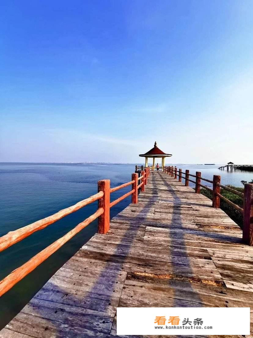 湛江自驾游十大必去景点？