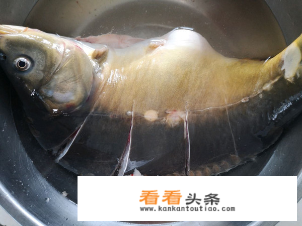 家常三道鳞的做法？