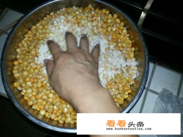 黑坑草鱼用嫩玉米怎么样？