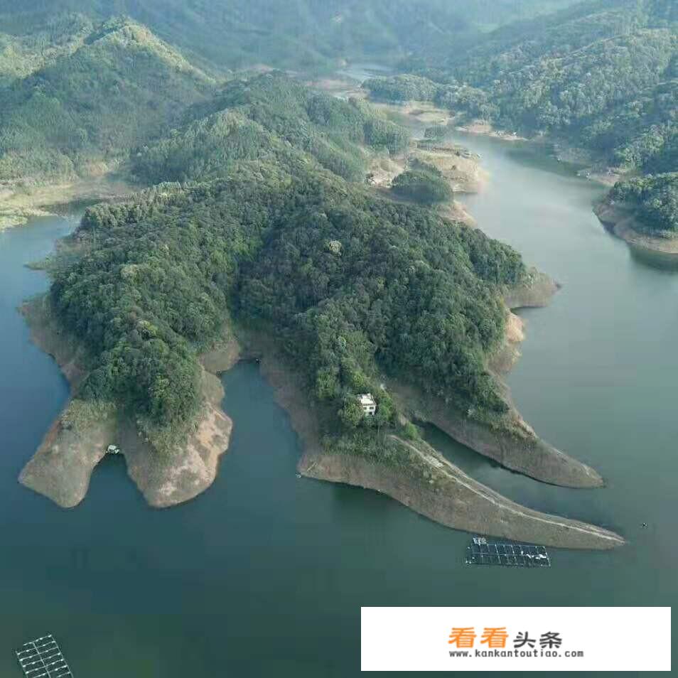 漳州市区周边有一片1800亩水库要如何投资经营？