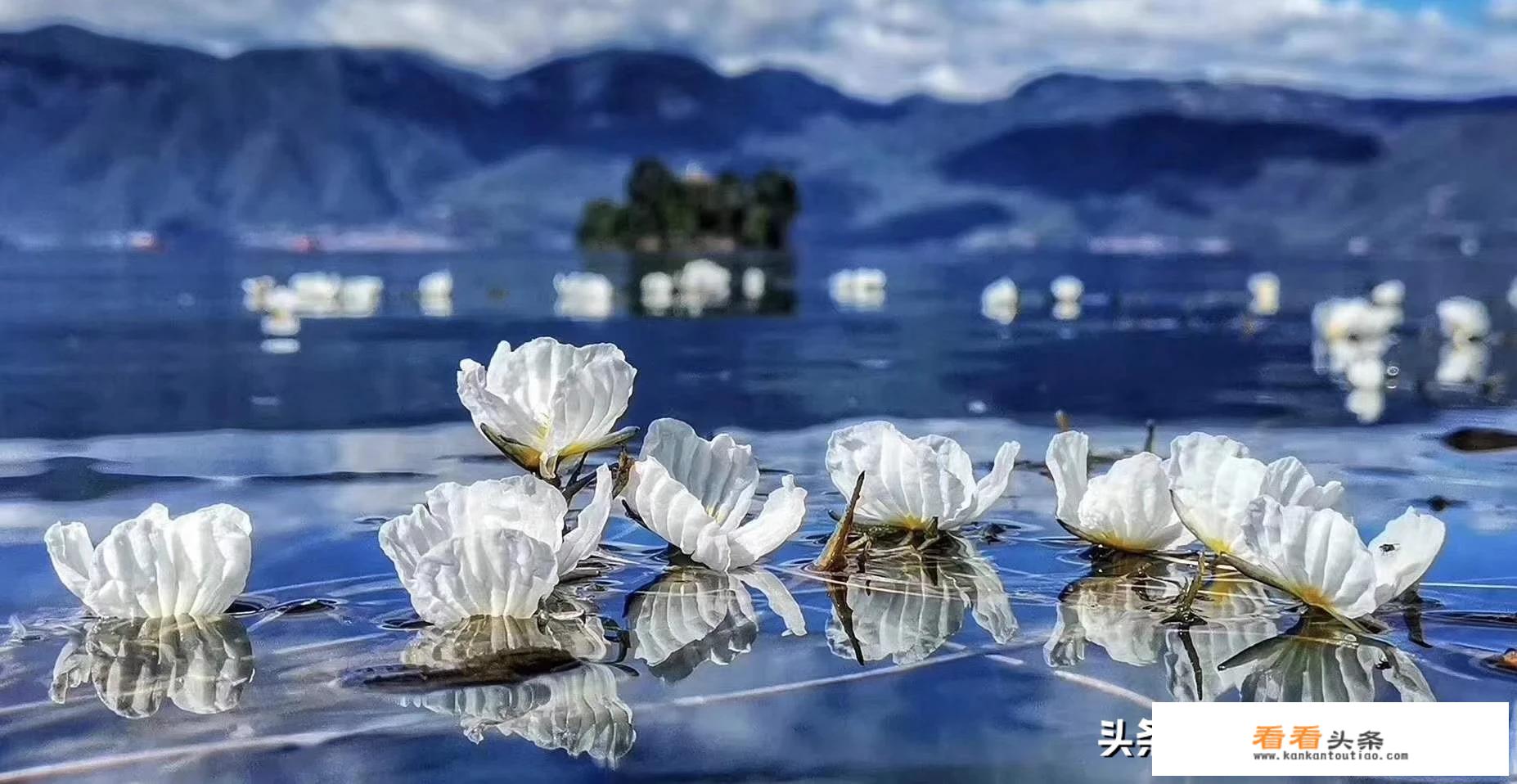 4日游适合去哪里？