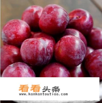 鱼吃完食就在鱼缸底下不动了？
