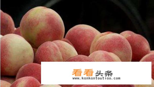 鱼吃完食就在鱼缸底下不动了？