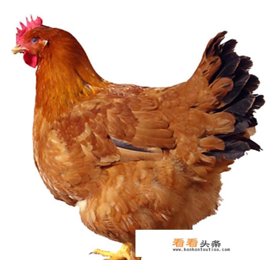 刚刚生完孩子的产妇都有什么东西不能吃的？