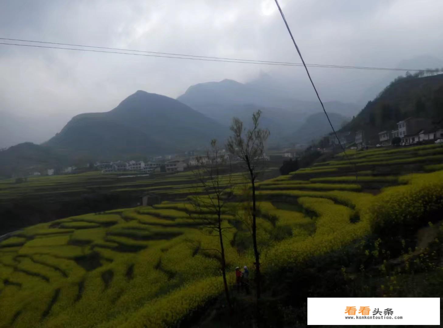 西安旅游公交最适合观光的线路？