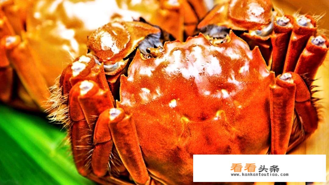 国庆假期应该去哪里玩，是南方还是北方？