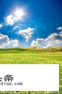 如何把旅游变成一项赚钱的投资？