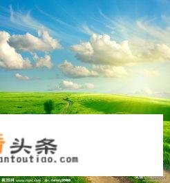 如何把旅游变成一项赚钱的投资？