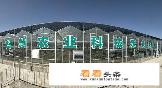 休闲农业与乡村旅游经营的项目有哪些？
