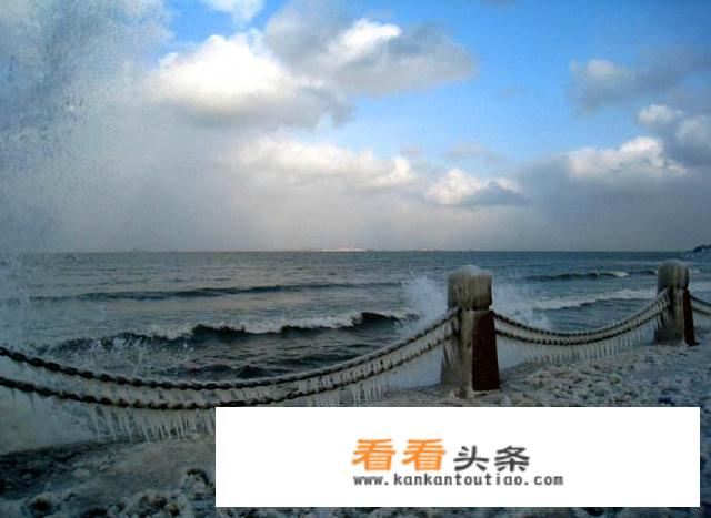 山东蓬莱、威海、青岛、烟台，哪个最适合居住？