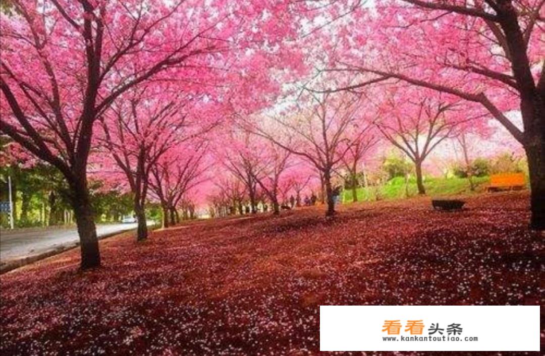 去日本旅游有哪些购物的地方？