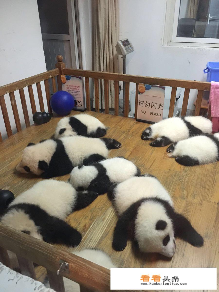 想出去旅游，应该如何规划路线？有哪些不错的建议？