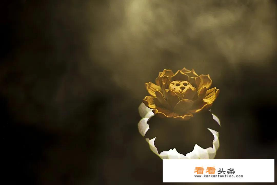 有人知道《遥远的救世主》作者豆豆现在怎么样了？