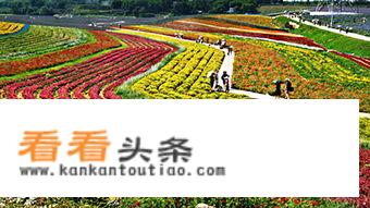 农业旅游投资的经营范围？