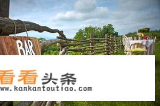 农业旅游投资的经营范围？