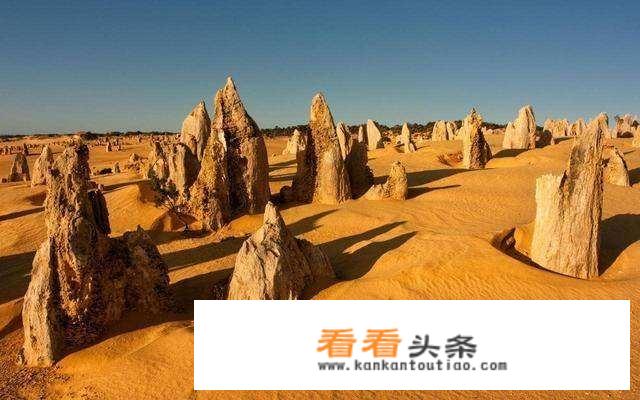 在宁夏中卫哪里能看到“大漠奇观”？