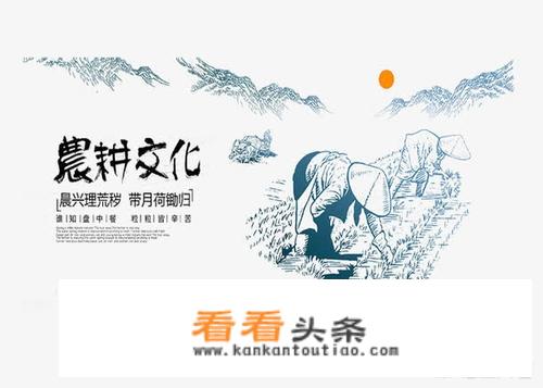 如何将乡村文化在乡村旅游规划中呈现出来？