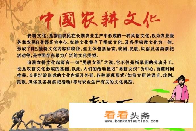 如何将乡村文化在乡村旅游规划中呈现出来？