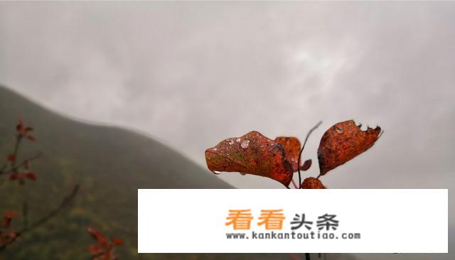 出门旅行多长时间更好？