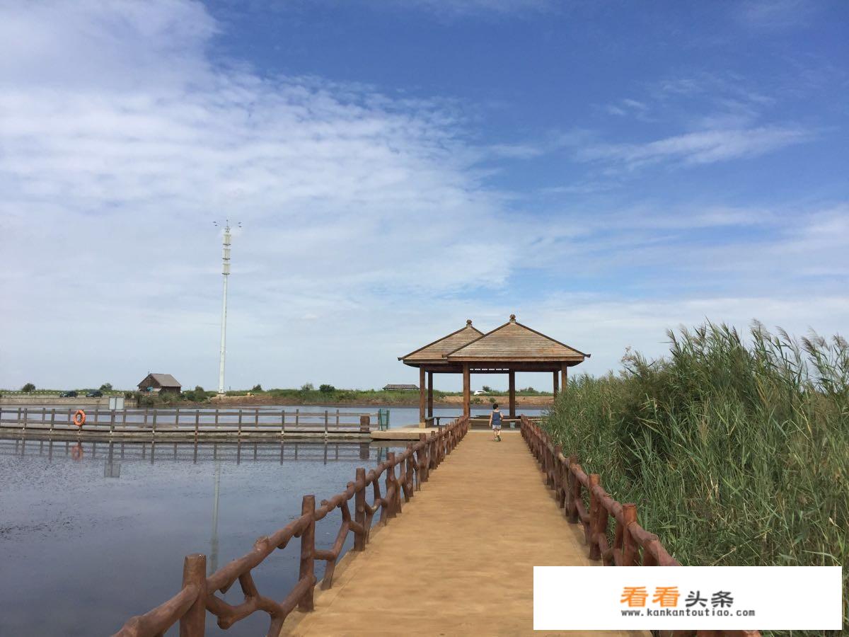 东营十一旅游更佳去处？