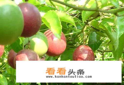 去湖南大学注意事项？