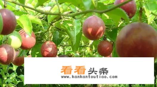 去湖南大学注意事项？