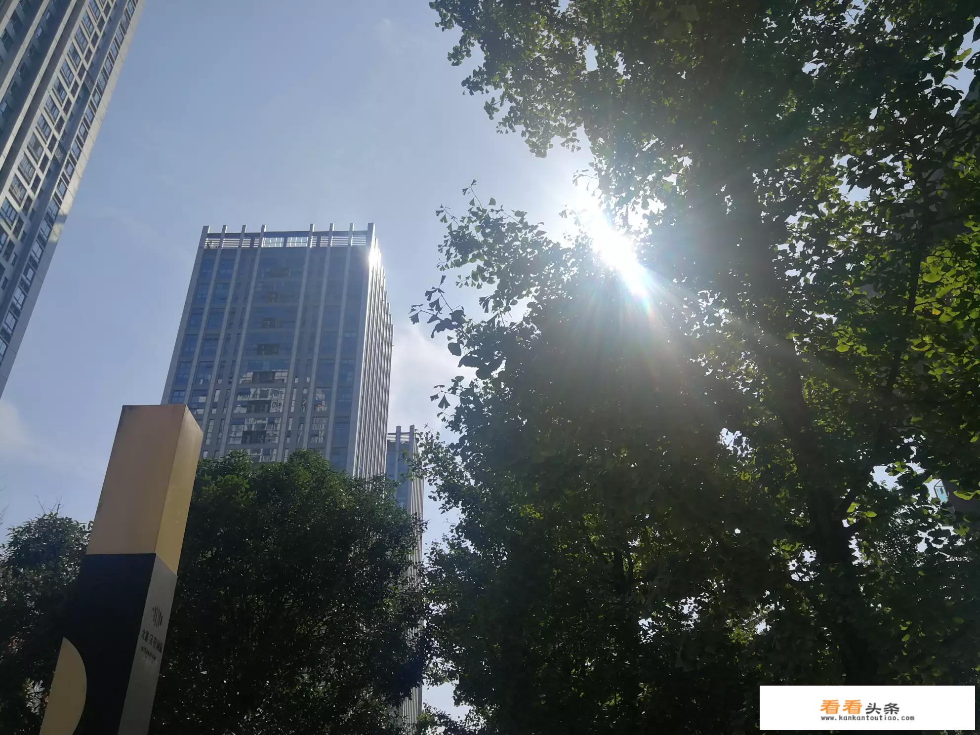 如果旅游，重庆的吃住门票费用增长很多，你还会来吗？