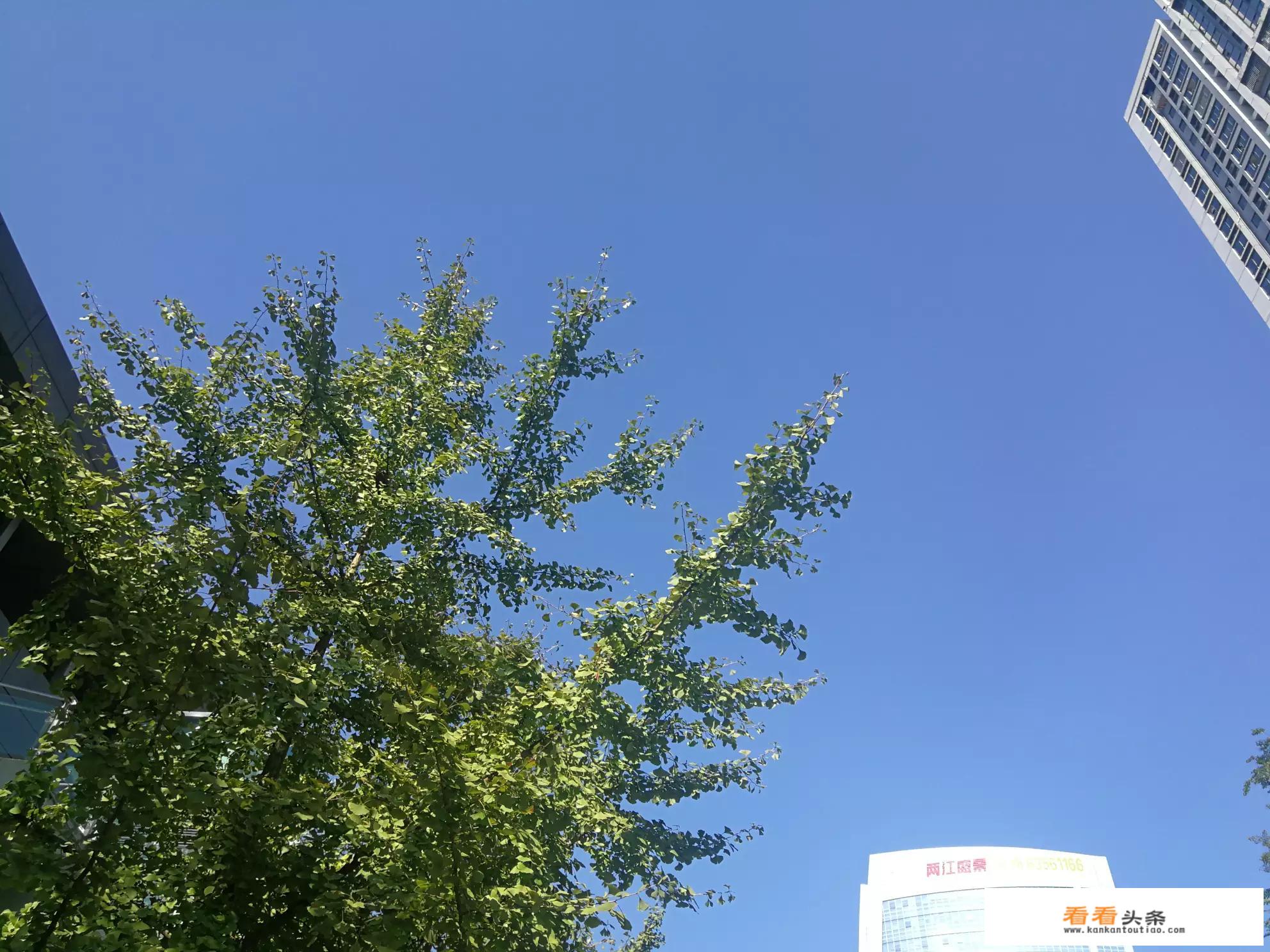如果旅游，重庆的吃住门票费用增长很多，你还会来吗？