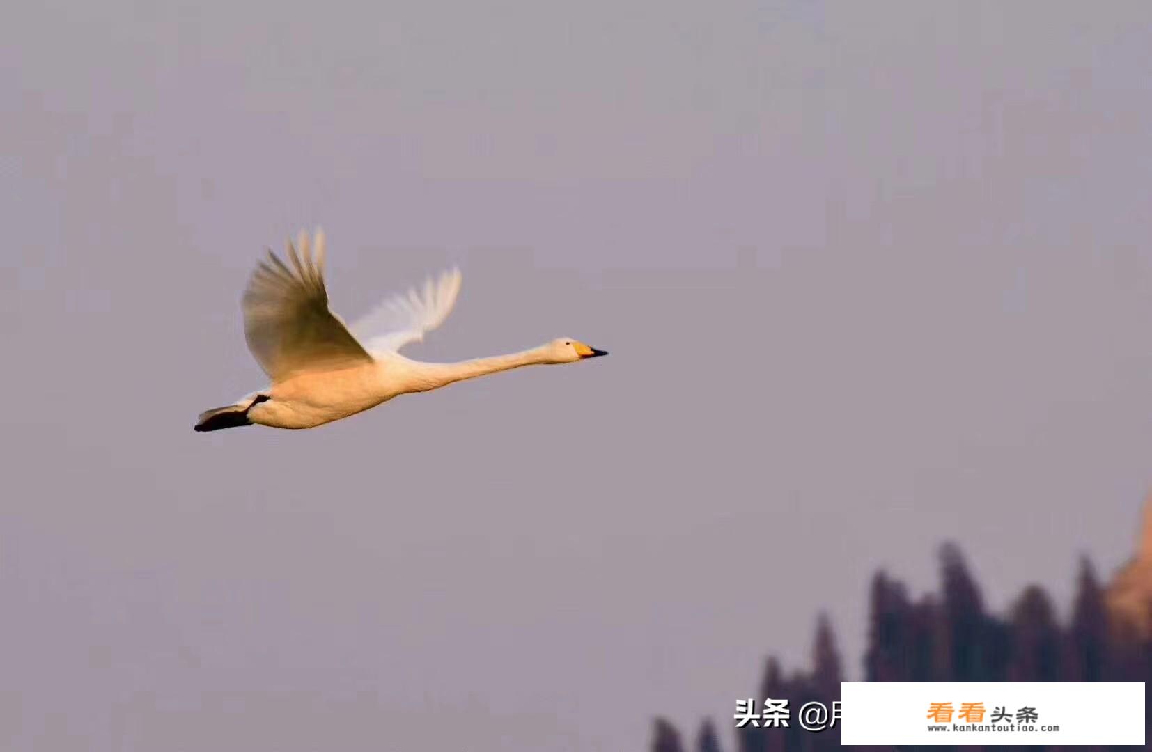 下午下班之后和领导提离职可以吗？