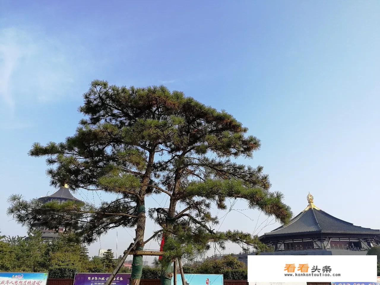 洛阳和郑州相比，谁的旅游资源更多，为什么？