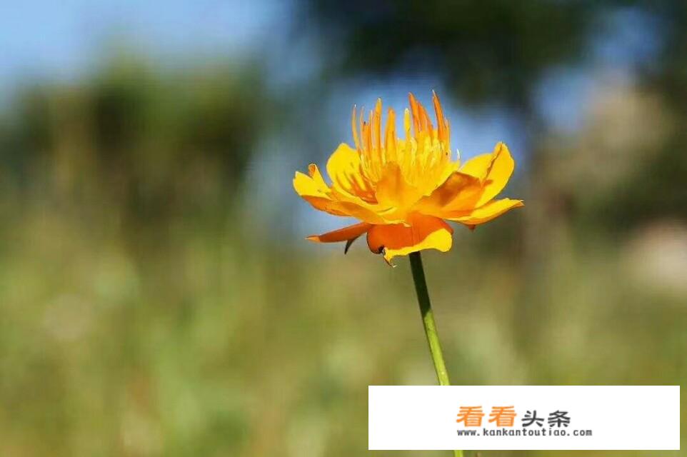 三个多月的宝宝有时候会突然大哭，哭时额头比平时凉，哭一会儿就不哭了，什么原因？