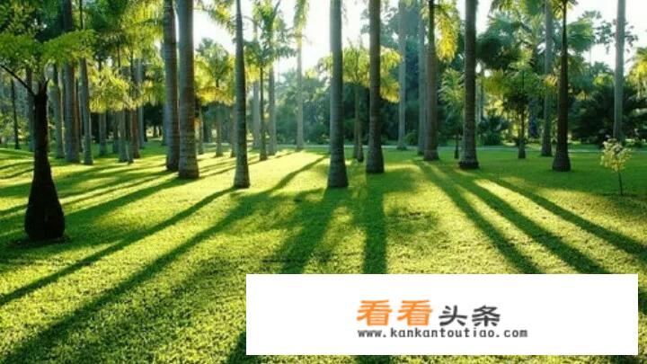 云南昆明旅游必去的景点？