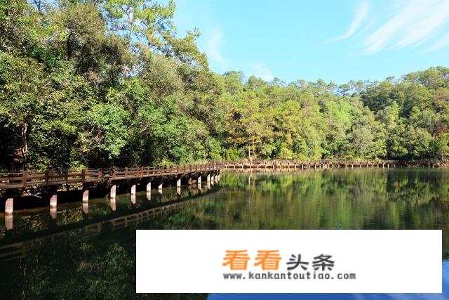 大家说去普洱旅游好不好呢？
