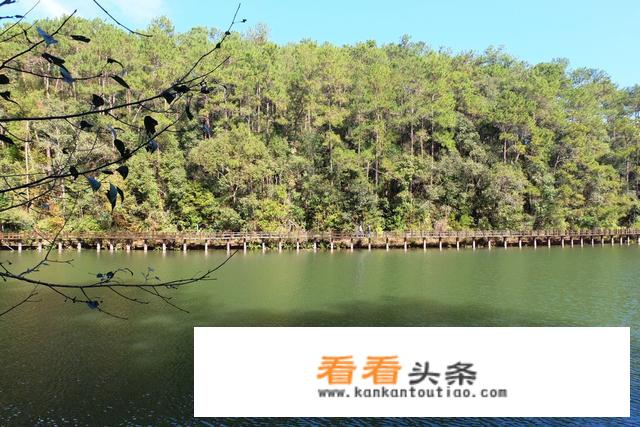 大家说去普洱旅游好不好呢？