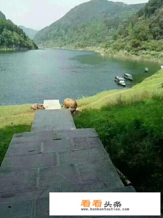 该怎么加强乡村旅游调查研究？