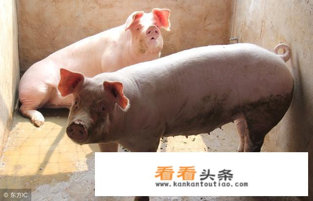 19世纪英美禁止奴隶贸易的原因？
