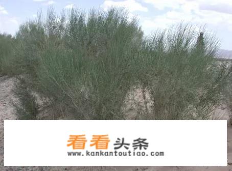 公路驿站设计作用？