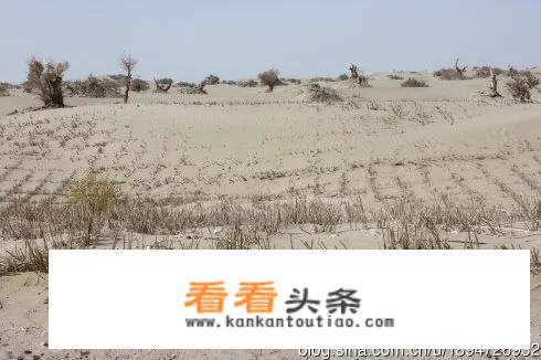 公路驿站设计作用？