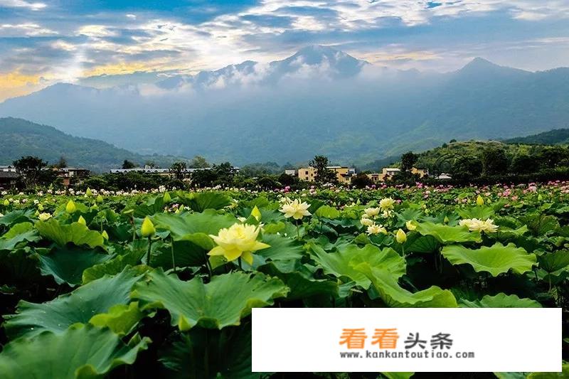 临安白沙村农家乐攻略？