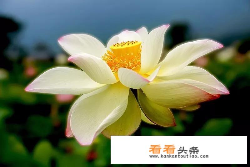 临安白沙村农家乐攻略？