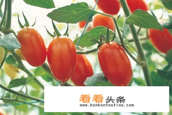 临安白沙村农家乐攻略？