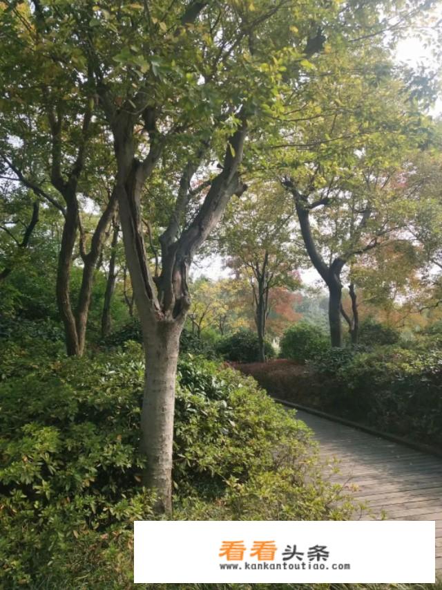 我可以轻松回农村过纯静的日子，为什么偏要在城市里煎熬和拼搏？