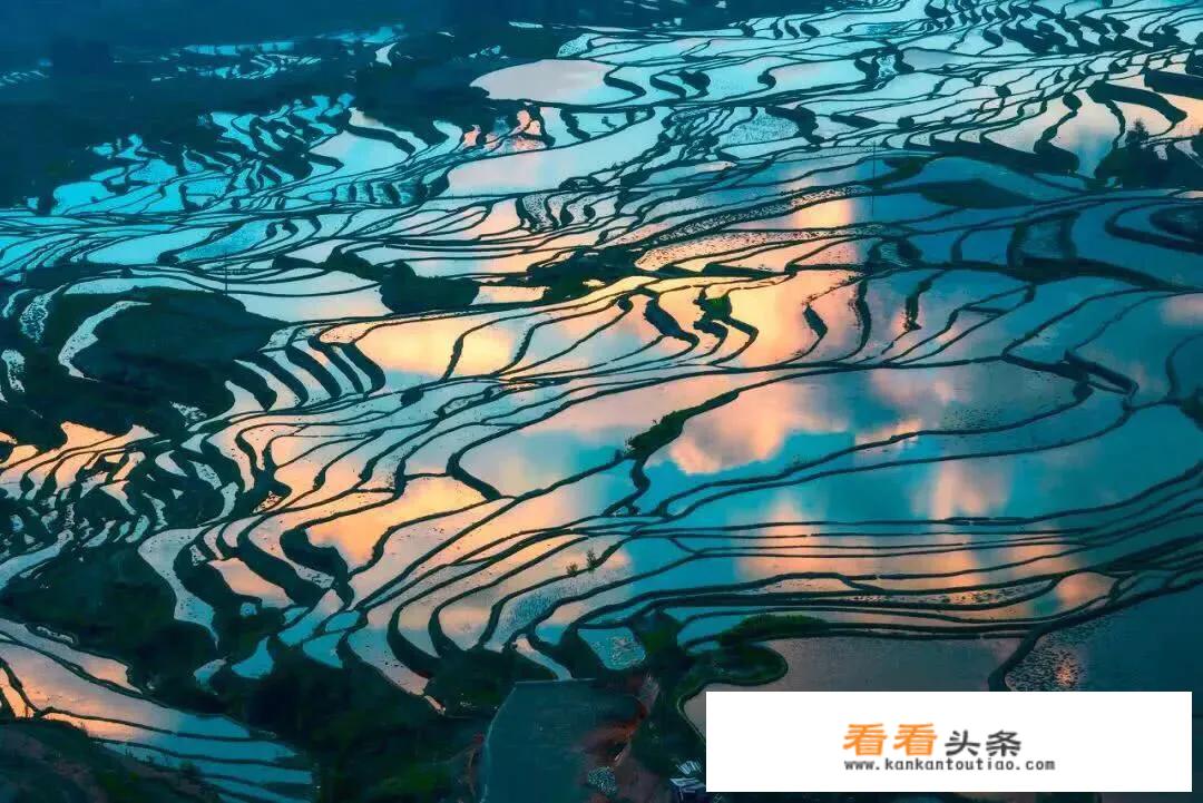 大消费板块包含哪些行业？