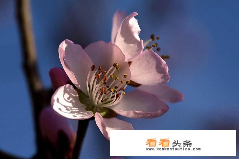 承德站附近有什么好玩的？
