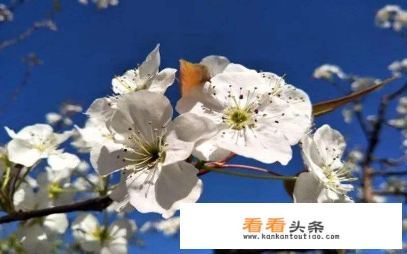 承德站附近有什么好玩的？