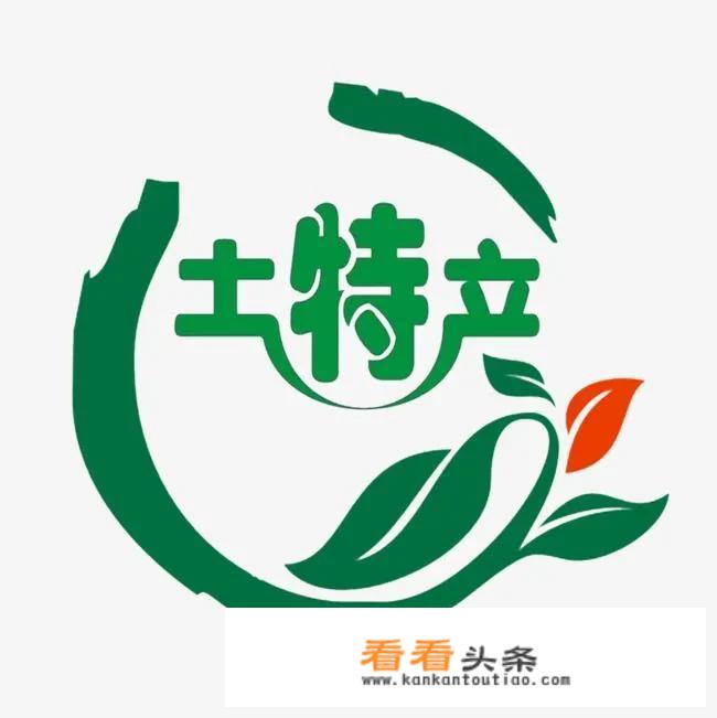 乡村旅游的实践过程？