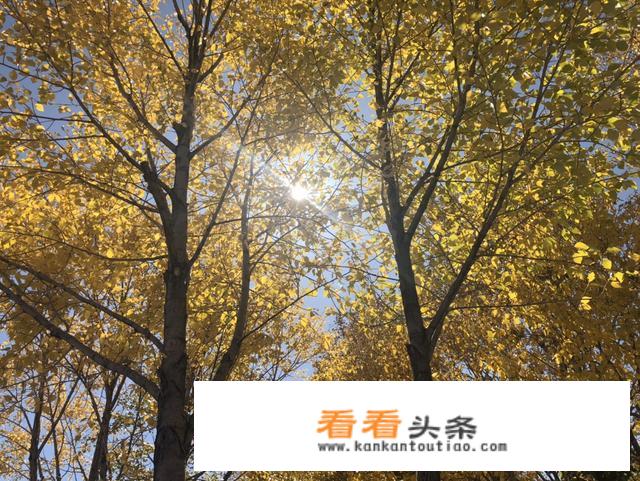 怎样介绍旅游景点，从哪几个方面入手？