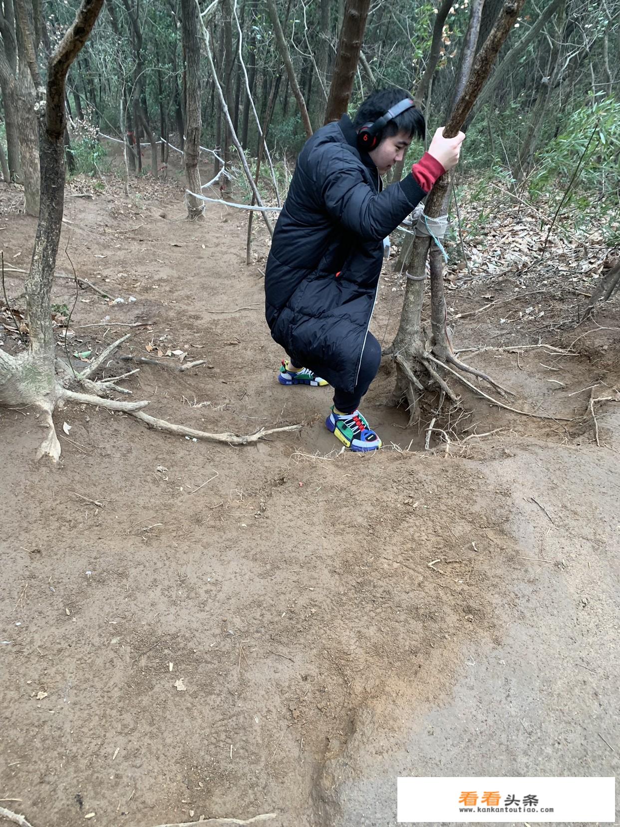 小鱼在倒影间游玩的情景写一写？