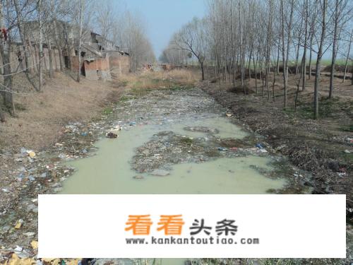 你怎么看待农村的水源污染？
