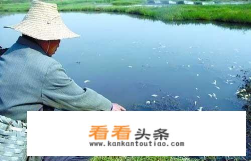 你怎么看待农村的水源污染？